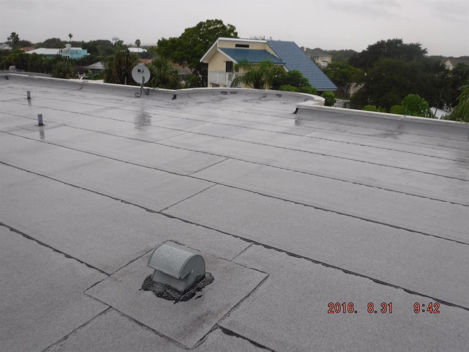 Flat roof covering inspection photo