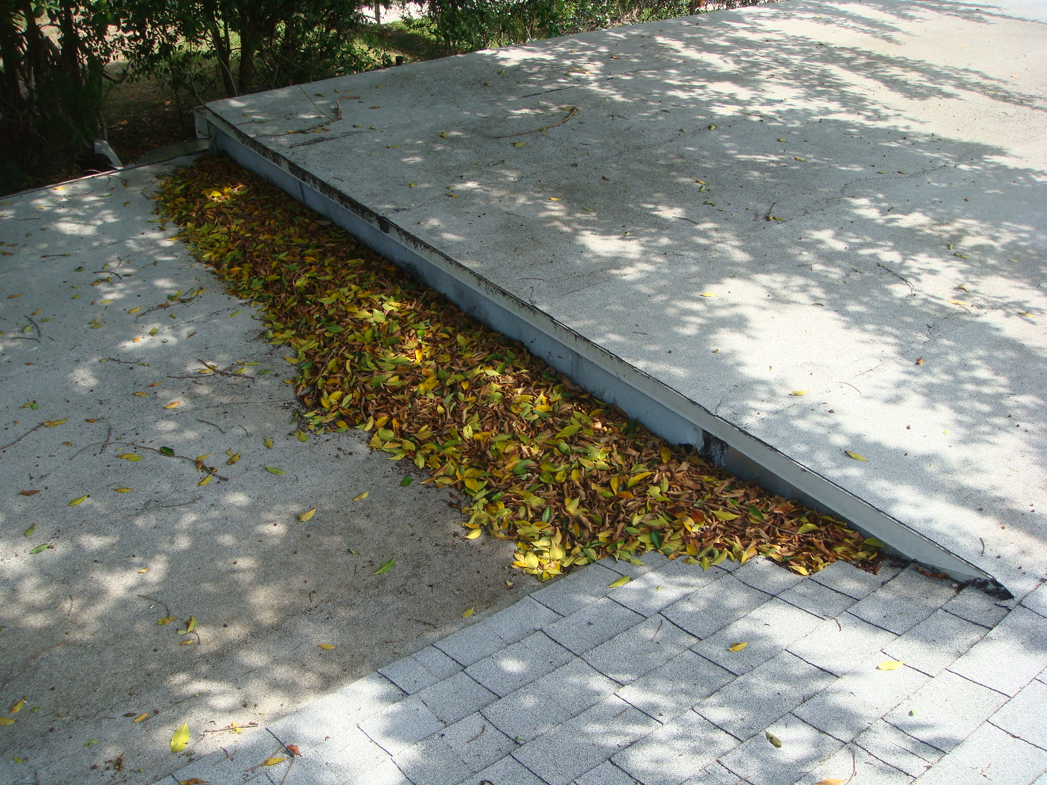 Flat roof condition photo